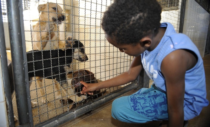 Resolução caracteriza crueldade, abuso e maus-tratos contra animais