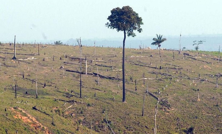 Em um ano, desmatamento na Amazônia teve aumento de 13,7%