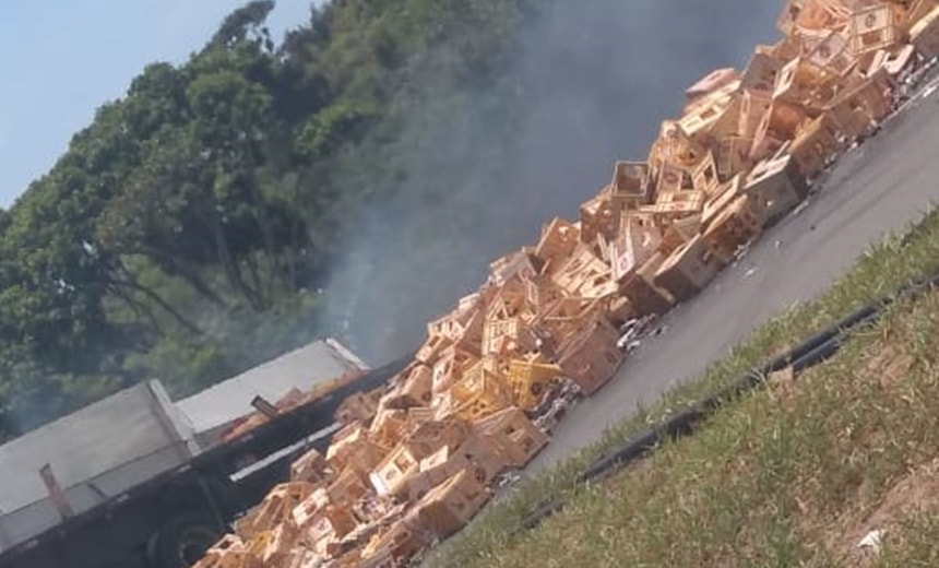 Carreta pega fogo após acidente na BA-526; carga de cerveja é roubada