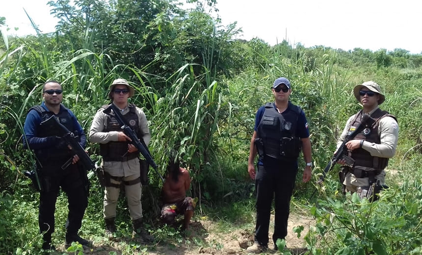 Plantação com 100 pés de maconha é encontrada em Paratinga; homem é preso