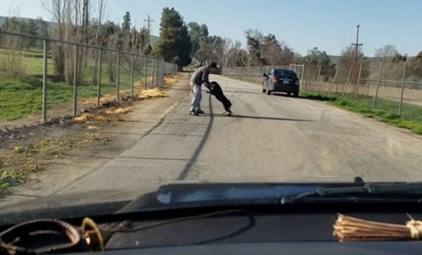 Cão &#8216;não aceita ser abandonado&#8217; e segue o dono de carro; veja vídeo