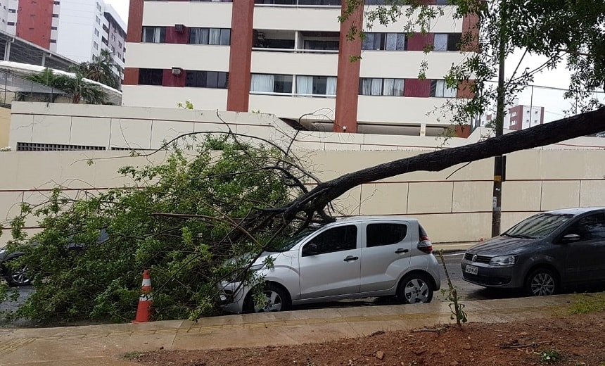 Tempo chuvoso: após clarão, árvore cai sobre carro no bairro da Pituba