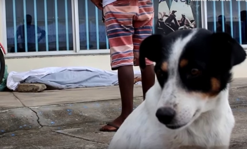 Morador de rua é morto com pedrada na cabeça e cachorro permanece ao seu lado