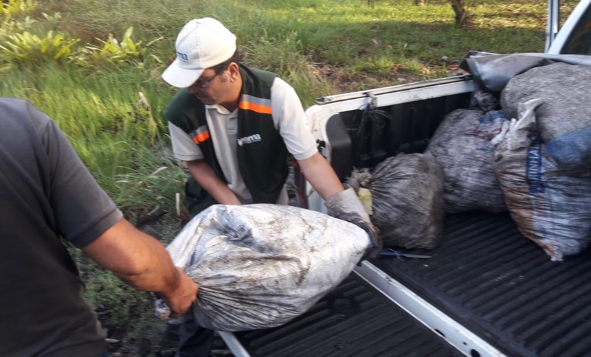 Mais de cinco toneladas de crustáceos são apreendidos em Salinas das Margaridas