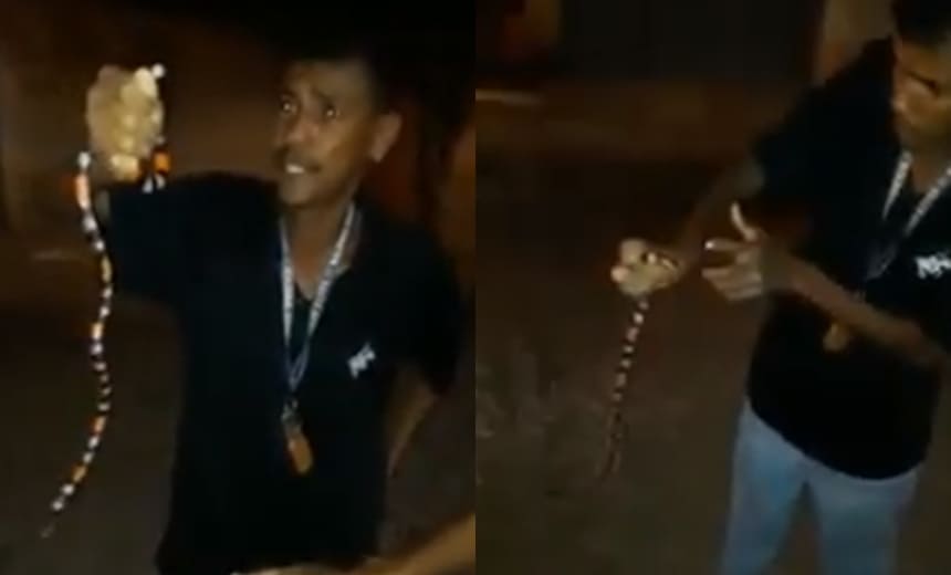 Após brincar com cobra coral, homem é picado e morre em Caetité; veja vídeo