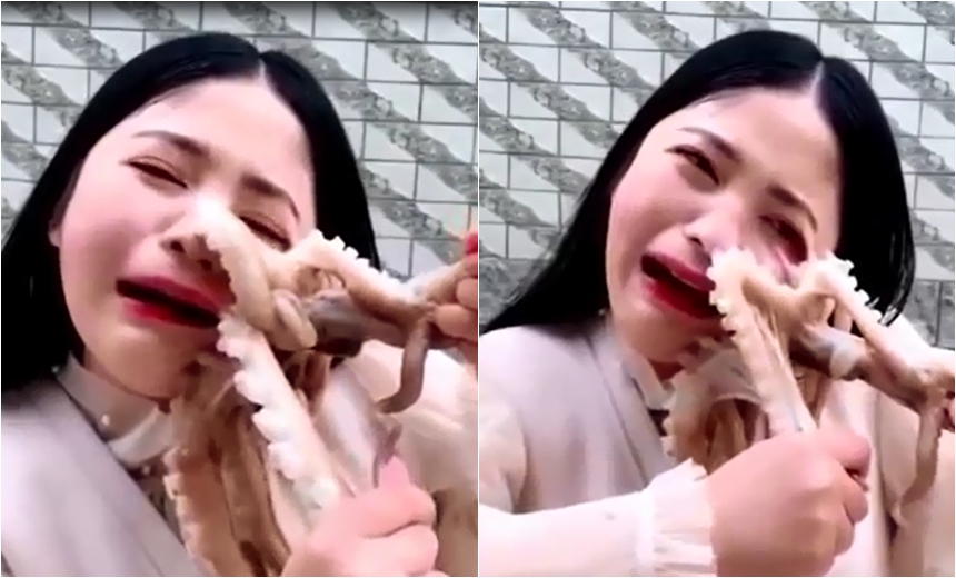 Enquanto tentava comer polvo ao vivo, mulher é atacada por ele e vídeo viraliza; assista