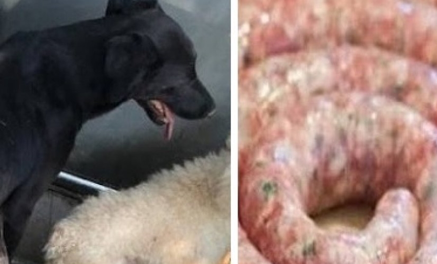Fábrica que fazia linguiça com carne de cães e gatos é interditada pela polícia
