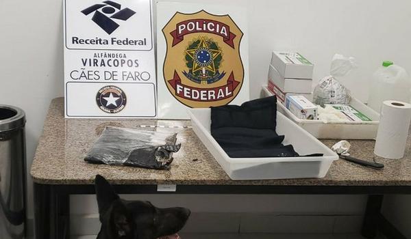 Apreensão de cocaína pela Receita bate recorde em 2019