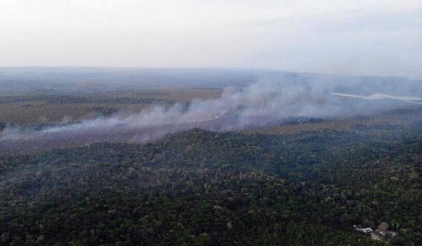 Justiça liberta brigadistas suspeitos de queimadas na Amazônia