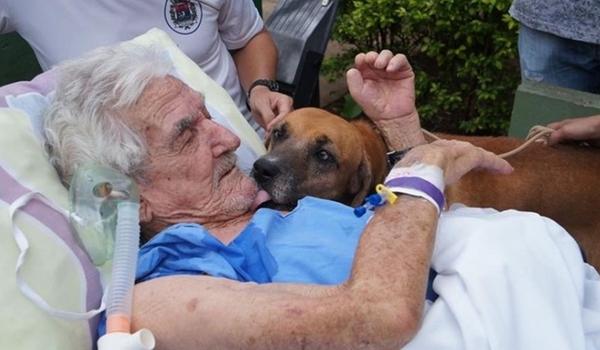 Idoso recebe visita do cachorrinho de estimação em hospital e quadro de saúde melhora