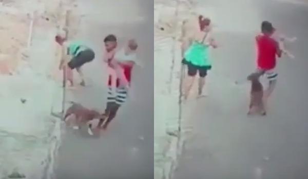 Vídeo mostra homem salvando menino de 5 anos de ataque de pitbull; assista