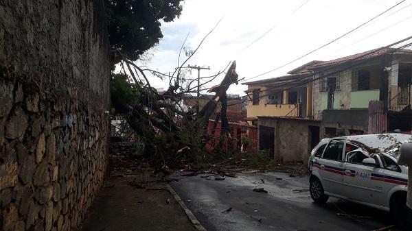 Defesa Civil de Salvador registra 171 ocorrências nesta quinta-feira; veja bairros mais afetados