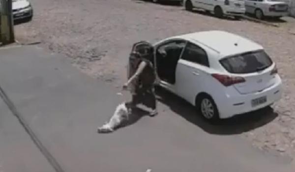 Cachorro com deficiência é abandonado no meio da rua e tenta seguir dona; veja vídeo