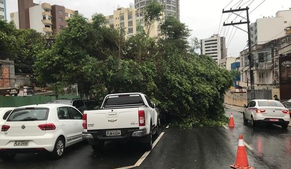 Queda de árvore atinge carros e deixa trânsito interditado na Avenida Princesa Isabel