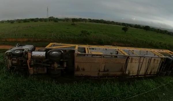  Vídeo: Caminhão "cegonha" tomba na BR 116 e deixa motorista ferido; onze veículos ficaram danificados