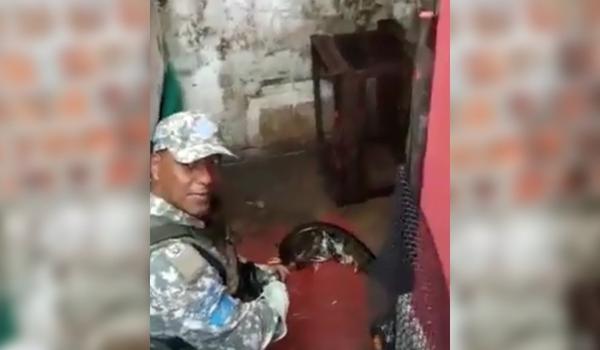 Cobra de três metros é achada dentro de casa em Itapuã; vídeo mostra resgate 