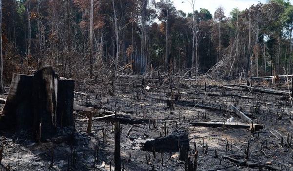 AGU cobra R$ 1,3 bilhão por desmatamento na Amazônia Legal