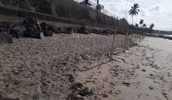  Praia de Piatã é interditada com estacas de madeira e arames para conter o COVID-19; assista