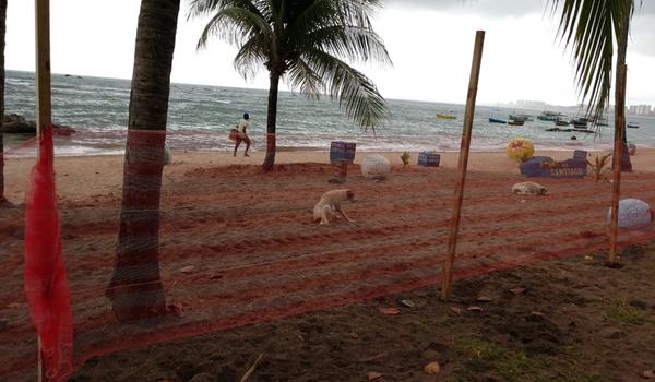 Veja como ficou a tradicional praia de Itapuã após interdição