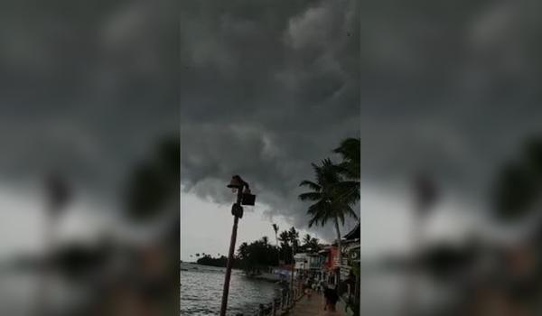 "Chuva de gafanhotos" em Morro de São Paulo desespera internautas, que falam em sinal dos tempos; veja vídeo