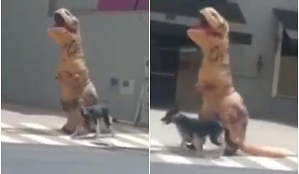 "Dinossauro" levando cachorro para passear em São Paulo. O que realmente aconteceu?