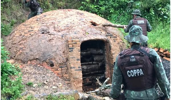 Após denúncia anônima, polícia ambiental desarticula serraria e carvoaria ilegais em Pojuca 