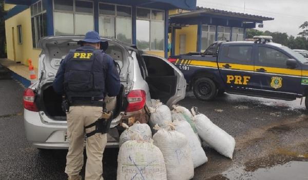 Casal é preso pela PRF transportando centenas de quilos de maconha em carro na BR-101; assista