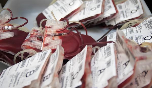 Anestesiologistas se unem ao Hemoba para reforçar doação de sangue; coletas caíram 50%