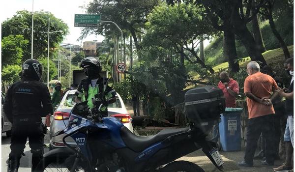 Árvore cai sobre dois carros em movimento no Vale de Nazaré, em Salvador