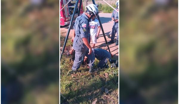 Animais são resgatados após caírem em vala durante pastagem na Bahia 