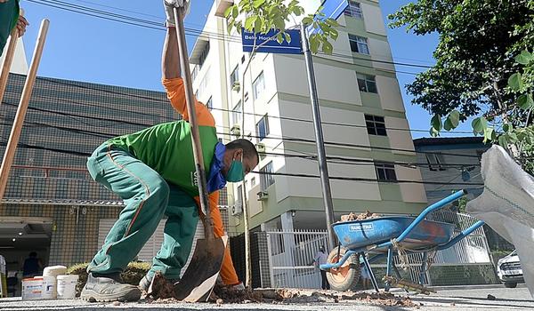 Secretaria de Sustentabilidade promove ação de plantio de espécies da Mata Atlântica em Salvador