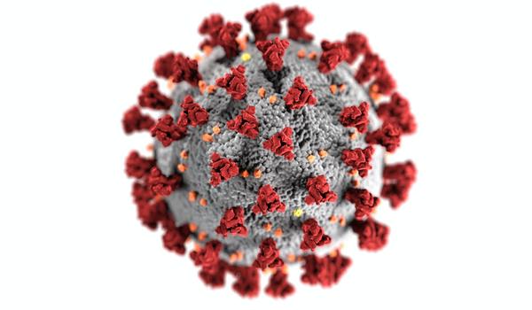 Estudo diz que teste rápido não detecta coronavírus antes de 10 dias de infectado e pode acusar "falso-negativo"