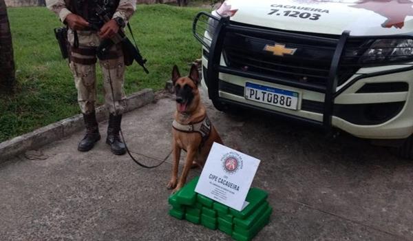 Cadela Atena encontra 23 kg de maconha escondidas com duas mulheres; assista