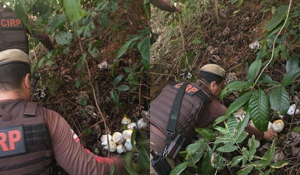 Polícia encontra acampamento de bandidos próximo a presídio; droga encontrada seria levada para detentos 