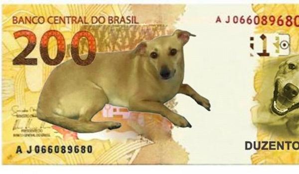 'Vira-lata caramelo': internautas sugerem imagens para nova cédula de R$ 200; confira melhores memes