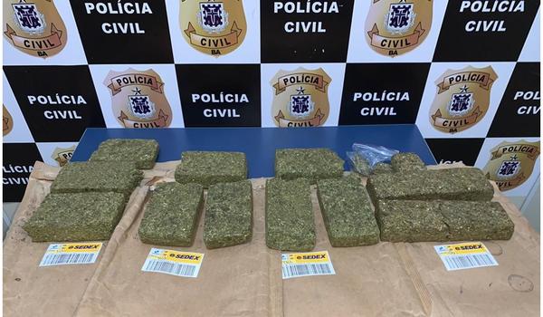 "Chamou, chegou": polícia desarticula esquema de drogas mandadas pelos Correios na Bahia 