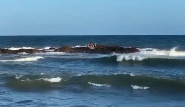 Maré sobe e grupo fica isolado em 'ilha' que se forma na Praia de Amaralina, em Salvador; veja 