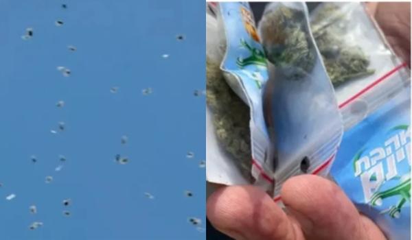 "Chuva de maconha": ativistas lançam pacotes da erva em praça de Israel; dois suspeitos foram presos 