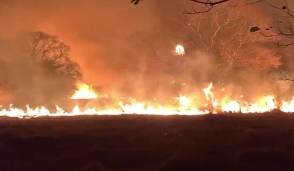 Perícia afirma que incêndio no Pantanal mato-grossense foi causado propositalmente por ação humana 