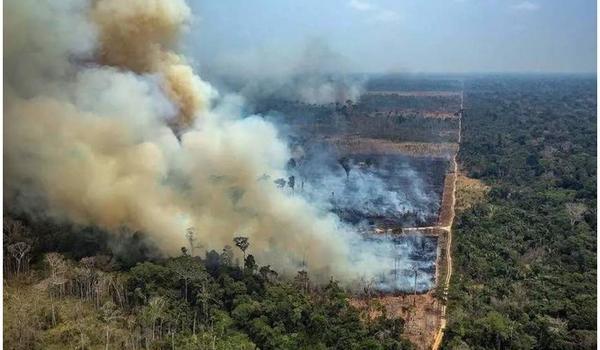 DiCaprio e outros atores internacionais fazem critica a Bolsonaro por atuação na Amazônia; ministro rebate