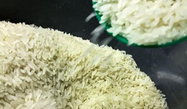 Preço do arroz deve baixar em breve, após medidas do governo, garante ministra da Agricultura