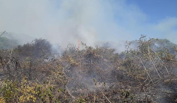 Incêndios no Pantanal: Governo reconhece situação de emergência em Mato Grosso do Sul