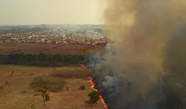 Comissão do Senado aprova ida a regiões afetadas por fogo no Pantanal; diligência acontece no sábado