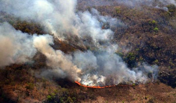 Desmatamento no Brasil em 18 anos equivale a quase área total da Bahia; Amazônia é a mais afetada