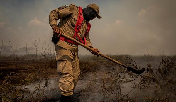 PF tem provas de que quatro fazendeiros iniciaram queimadas no Pantanal; satélites indicaram "mapa do fogo"