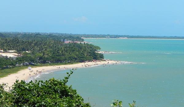 Manguezais e praias podem sofrer ocupação após Ministro do Meio Ambiente retirar regras de proteção; entenda