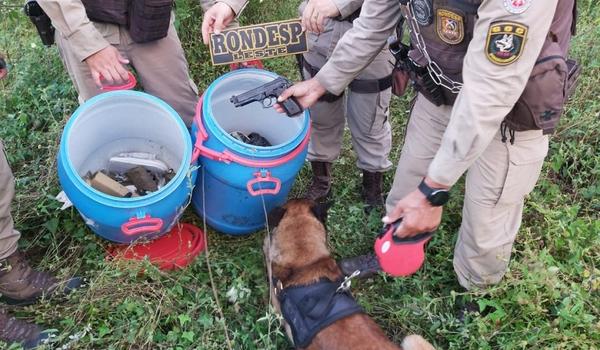 Com ajuda de cão farejador, polícia encontra armas e drogas em esconderijo de criminosos em Irará