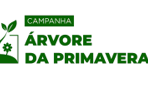 Campanha Árvore da Primavera vai distribuir e plantar 3 mil mudas em Salvador