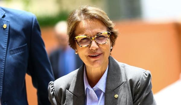 Ministra da Agricultura diz que se Pantanal tivesse mais gado, não sofreria tanto com incêndios; "boi é bombeiro"