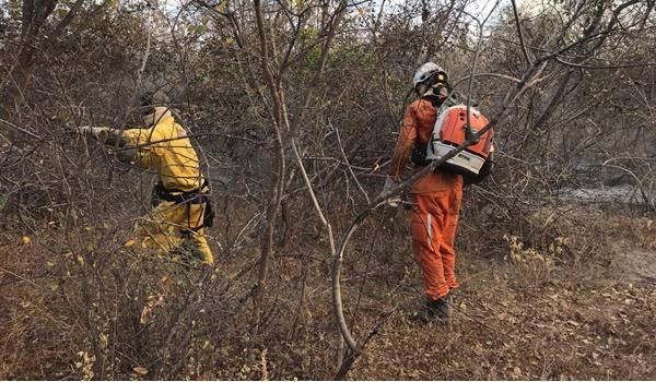 Situação de emergência é decretada em 73 municípios atingidos por incêndios florestais na Bahia